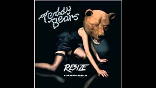 Teddybears  Cobrastyle RESIZE Melbourne Bootleg [upl. by Ahern]