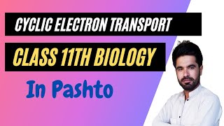 Cyclic Electron Transport  11th biology in pashto  Home of biology [upl. by Strong]