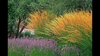 How to use Grasses in the GardenGarden Style nw [upl. by Creighton]