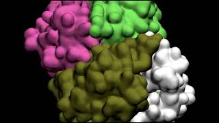 Ligand unbinding from enzyme active site  mechanism and pathways [upl. by Hay705]