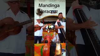 MANDINGA VERACRUZ [upl. by Ervine]