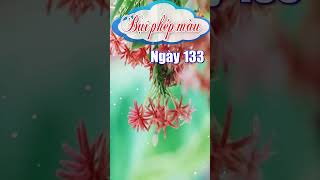 Bụi phép màu  Ngày 133 [upl. by Mallory99]