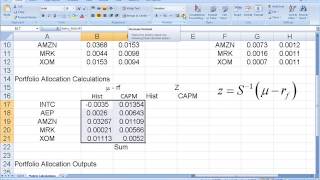 PT L16 Portfolio Allocation in Excel [upl. by Malvina]