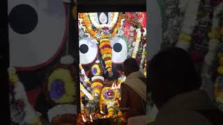 Today Sandhya aarti darshan of lord Jagannath ✨🙏🥺 Jagannath dham Puri 🙏❤️lord jagannath aarti [upl. by Beata]