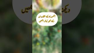 👀Ankhon ka Dhoka or Aqal  shortsfeed shorts imamaliquotess quote [upl. by Drofhsa]