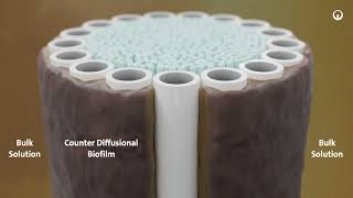 Explore ZeeLung Membrane Aerated Biofilm Reactor by Veolia [upl. by Calloway]