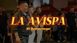 LA AVISPA  EL ANDARIEGO LETRA [upl. by Ottillia]