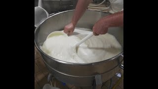 Produzione Mozzarella di Bufala Campana DOP [upl. by Atiras]