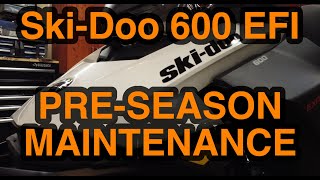 DIY SkiDoo 600 EFI PreSeason Maintenance [upl. by Nalliuq269]