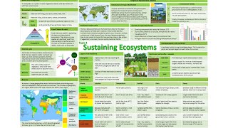 Sustaining Ecosystems Podcast Part 1 Ecosystems and Biomes with Tropical Rainforests [upl. by Eltsyrk]