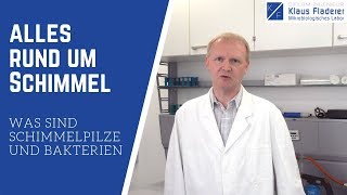 Was sind Schimmelpilze und Bakterien  Alles rund um Schimmel  Top Serie 16 [upl. by Eldwen]