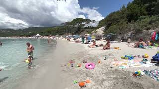 France 🇫🇷 Corsica Palombaggia beach June 2023  walking all over the Palombaggia Beach 🏖️ [upl. by Okuy581]