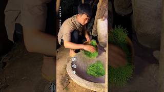 Make hair growth lotion shorts shortvideo rurallife [upl. by Eixor]