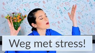 De Beste Manier om Stress en Burnout Klachten tegen te gaan  Psycholoog Najla [upl. by Boccaj]