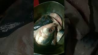 Ilish macher Matha Diye Kochu Sagar recipefood music [upl. by Nylecoj840]