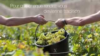 Vins de Bourgogne  Eloge du temps et de ceux qui le respectent [upl. by Niram805]