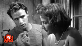 A Streetcar Named Desire 1951  Im the King Around Here Scene  Movieclips [upl. by Joletta]