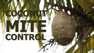 How to control Eriophyid mite in Coconut Effective Control Methods Revealedquot [upl. by Krys]