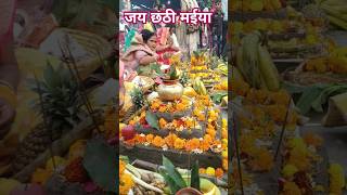 छठ पूजा Chhath puja Status 💫💖Kelwa ke paat par chhath puja song chhath chhathpujaviral [upl. by Grous505]