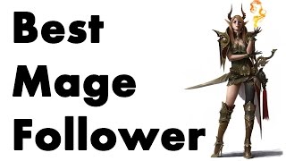 Skyrim The Best Mage Follower Guide [upl. by Evad]