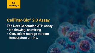 CellTiter Glo® 2 0 Cell Viability Assay [upl. by Viddah]