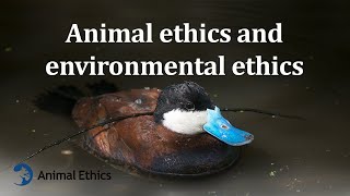 Animal ethics and environmental ethics [upl. by Ariuqahs]