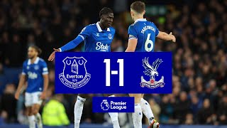 PREMIER LEAGUE HIGHLIGHTS EVERTON 11 CRYSTAL PALACE [upl. by Wallis731]