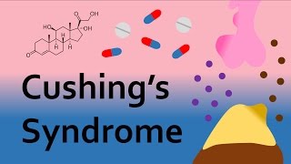 Cushings Syndrome and Corticosteroids Part 2 [upl. by Ylen]