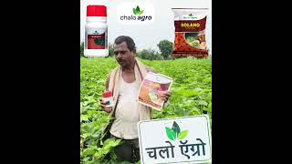 Chalo Agro  Bazuka  Solano [upl. by Ahsenit]