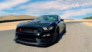 2016 Ford Shelby Mustang GT350  First Look [upl. by Ahsyia]