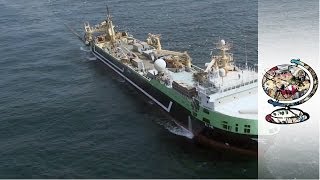 How Australia Impounded the Worlds SecondLargest Fishing Trawler [upl. by Pitarys]