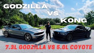 GODZILLA VS KONG  73L VS 50L  BATTLE OF THE MUSTANGS [upl. by Ume]