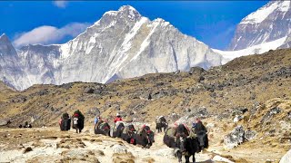 Land of the SHERPAS Walking under Mount Everest 4K Mount Everest Base Camp Trek  Full Documentary [upl. by Olonam]