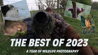 THE BEST OF 2023 A YEAR OF WILDLIFE PHOTOGRAPHY BEST IMAGES [upl. by Awjan]