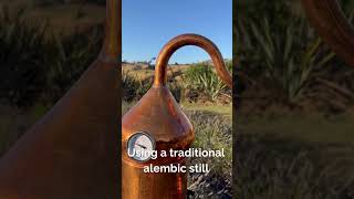 Rosemary Oil Distillation The Art of Alembic using a traditional copper still [upl. by Washington734]