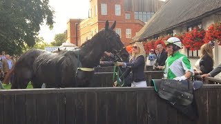 Newmarket Town Plate 2018  Newmarket Races [upl. by Daniel663]