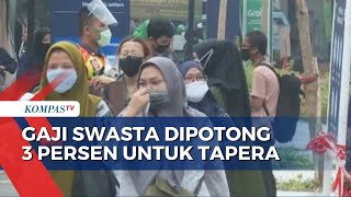 Gaji Swasta Dipotong 3 Persen untuk Tapera Manfaat atau Beban Bagi Karyawan [upl. by Alisen]