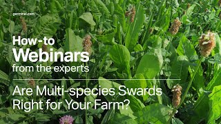 Are MultiSpecies Swards Right for Your Farm [upl. by Atronna]