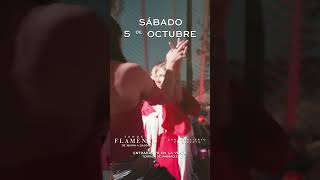 Experience the Best Flamenco Tardeo in Valencia Spain 🌞💃🎶 [upl. by Adal]