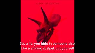 Alice In Chains  Scalpel Lyrics HQ [upl. by Coates854]