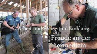 Stellenanzeige für den Großtierbereich Tierärztin  Tierarzt [upl. by Firestone]