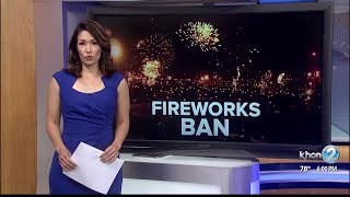 Lawmakers weigh in on Oahus fireworks ban [upl. by Artied]