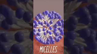 How does the soap work Micelles chemistrymicellessoapneet [upl. by Gottlieb]