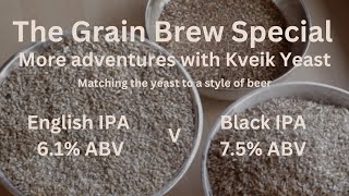 The Grain Brew Special More Adventures with Kveik Yeast [upl. by Honeywell895]