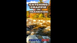 Fall Crappie Fishing Expert Tips for Catching Aggressive Slabs 🎣 [upl. by Selrac]