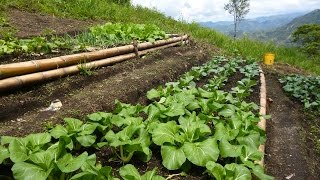 Características de la Agroecologia una Agricultura Más Sana  TvAgro por Juan Gonzalo Angel [upl. by Stu]