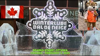 OTTAWAS WINTERLUDE  BAL DE NEIGE ICE SCULPTURES on SPARKS STREET WINTERLUDE FESTIVAL 0204244K [upl. by Layod]