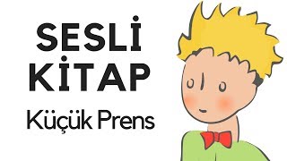 Küçük Prens Sesli Kitap Dinle Oku Tek Parça Masal Abbas Tekin [upl. by Doraj]