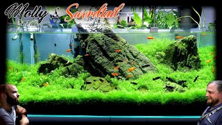 Making a 4ft Carpet Aquarium for Mollies and Swordtails [upl. by Jaf969]