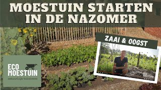 Moestuin beginnen in nazomer [upl. by Ayatal]